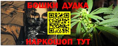крисы Славгород