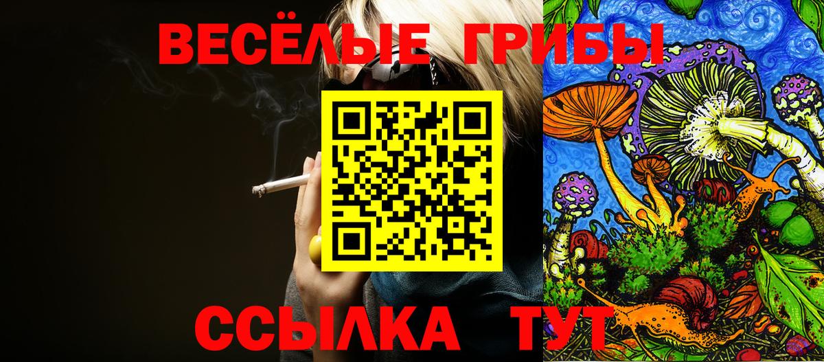 Псилоцибиновые грибы мицелий Новоалтайск