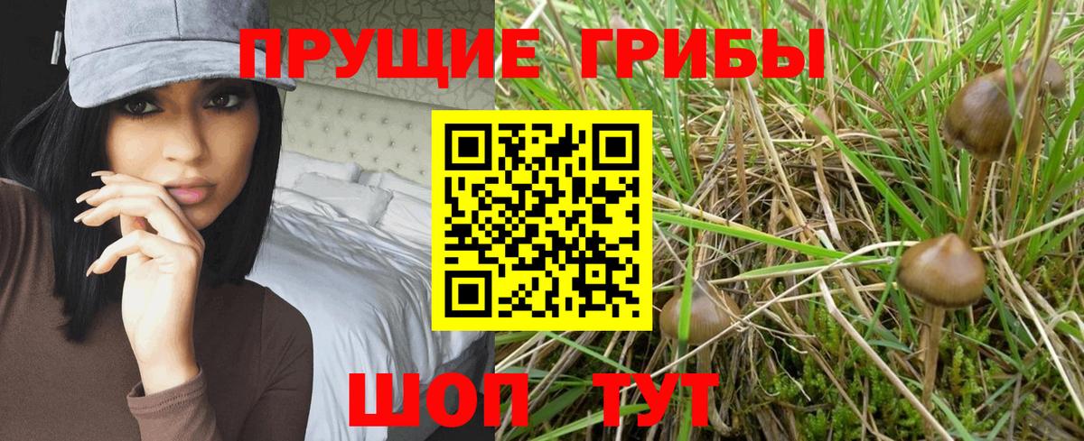 Новоалтайск  Псилоцибиновые грибы Psilocybine cubensis  Вход с VPN  Псилоцибиновые грибы Magic Shrooms 